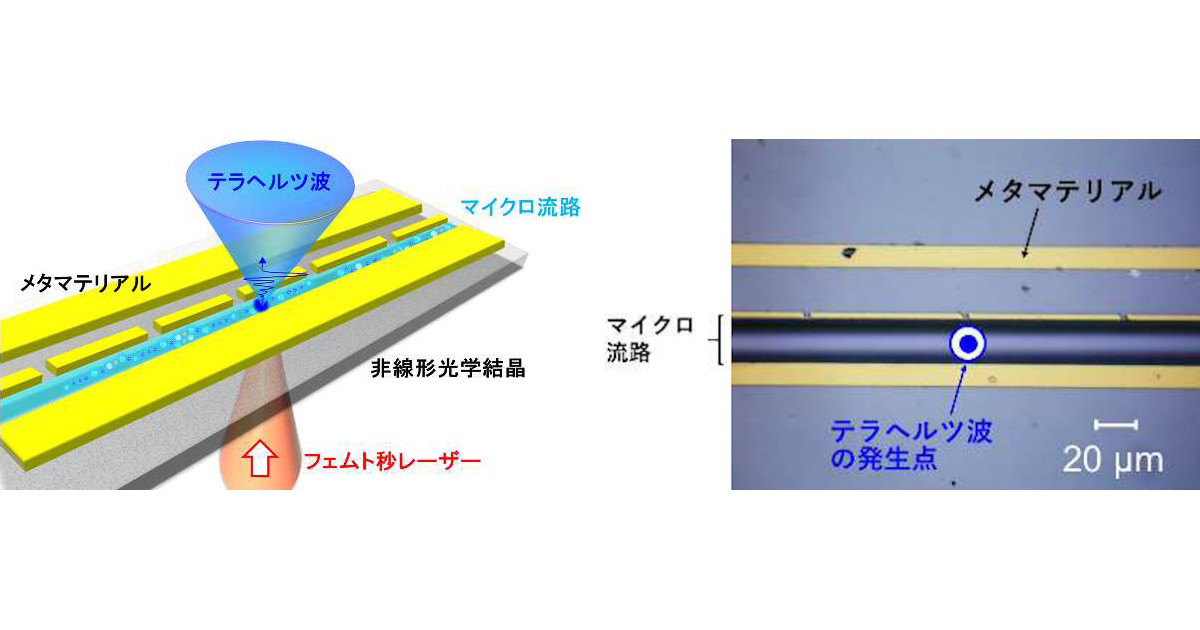 阪大、テラヘルツ波を利用した超高感度バイオケミカルセンサチップを開発
