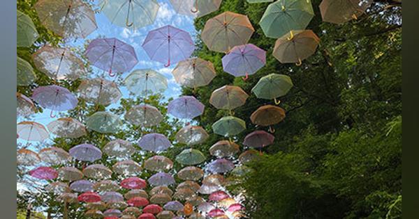 カラフルな傘が浮かぶ「軽井沢アンブレラスカイ 2022」「ムーミン谷とアンブレラ」は7月中旬まで開催中！