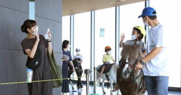 地上100メートルのポニー乗馬にアルパカ、ワラビー「メディアシップサファリ」にぎわう　新潟・中央区、7月3日まで開催