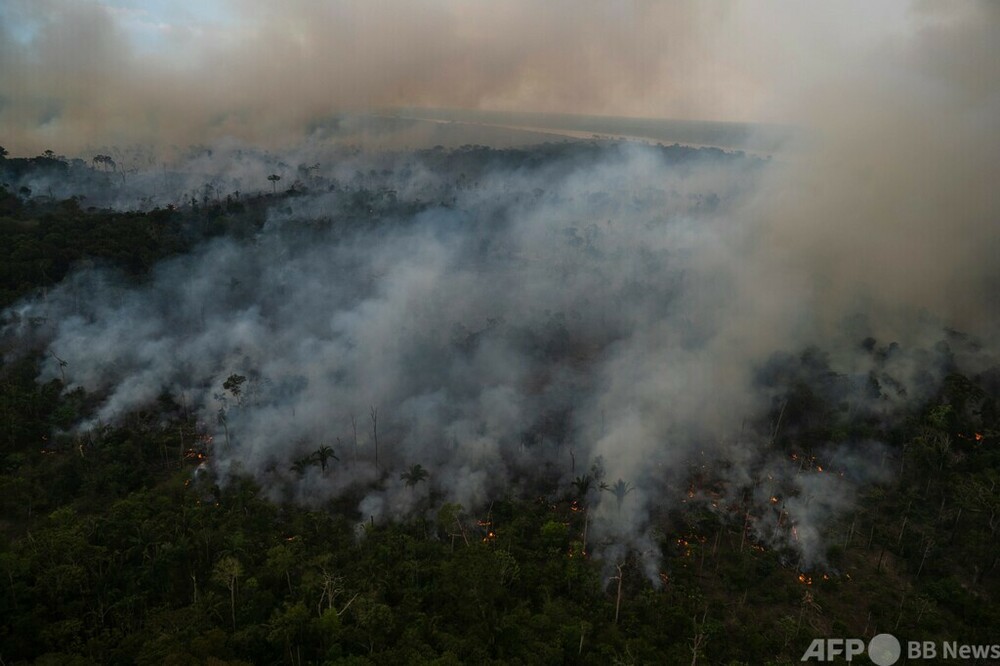 アマゾン熱帯雨林、上半期に3750平方キロ消失 ブラジル