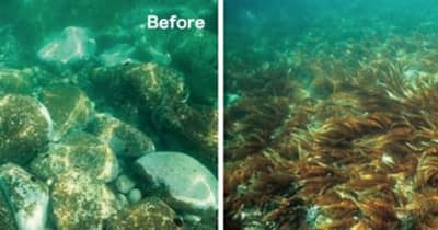 インフラックスと長崎大学、水中ロボット共同開発の契約を締結。藻場再生の海底可視化へ