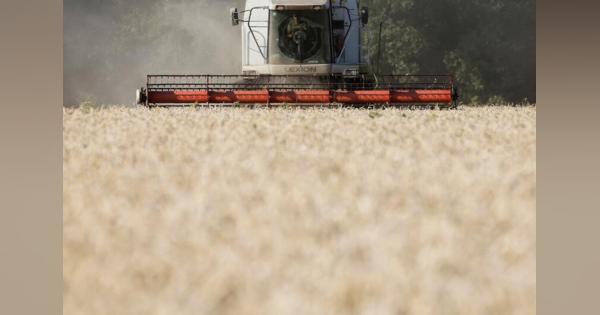 ウクライナ、トルコや国連と協議中　穀物輸出の保証巡り＝大統領