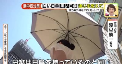 白い日傘と黒い日傘、日差しを防ぎやすいのは一体どちらなのか