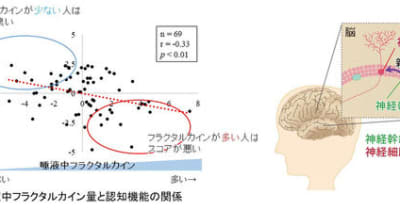 日本メナード化粧品、唾液中のタンパク質から認知機能の低下リスクを予測する技術を開発