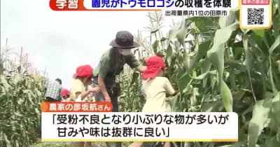 園児らが農園でトウモロコシの収穫体験　愛知県田原市