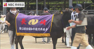 5年に1度「全国和牛能力共進会」に向け長崎県代表「牛」の選考会