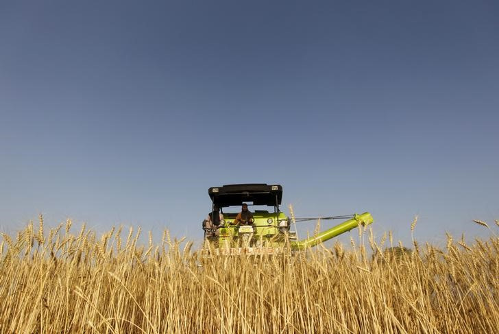 6月の世界食料価格は低下、穀物生産予測引き上げ＝国連機関