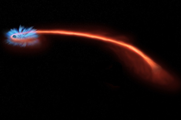 ブラックホールによって細断された恒星の最後　カリフォルニア大学の研究