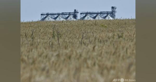 ロシアとウクライナ、トルコで穀物輸出協議へ 国連も参加