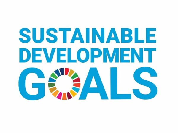 【SDGs宣言策定】阿波バラス(吉野川市)、持続可能な経営基盤の確立