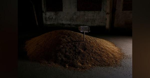 ウクライナとロシア、穀物協定へ「前向きな兆し」　小麦価格下落