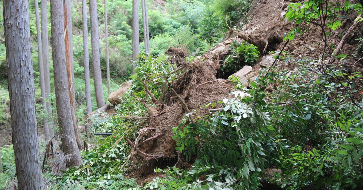 熊野古道で土砂崩落　世界遺産1.8キロを通行止め　和歌山・田辺