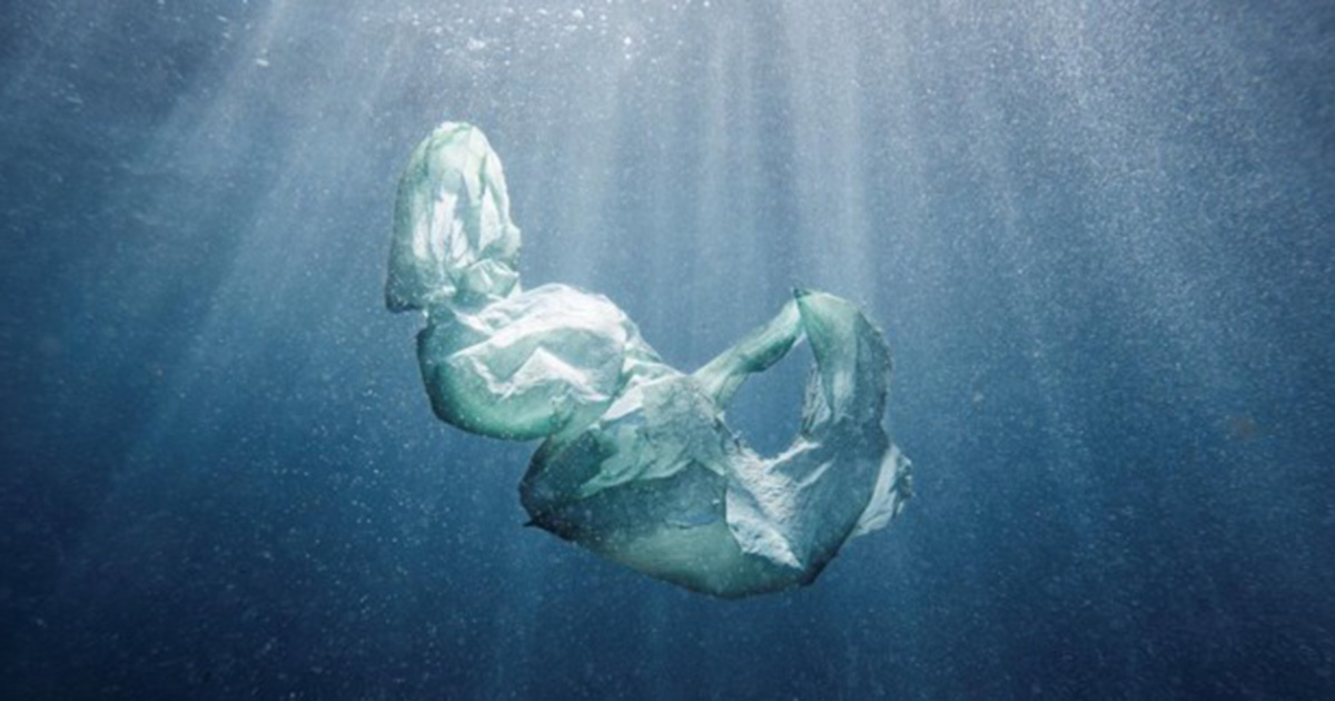 カリフォルニア州でプラスチック製の梱包材削減に向けた新法案設立