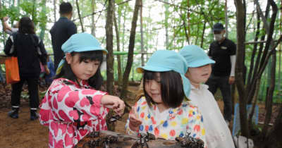 子どもたち待つカブトムシ　福島県田村市常葉町　ムシムシランドで「放虫式」