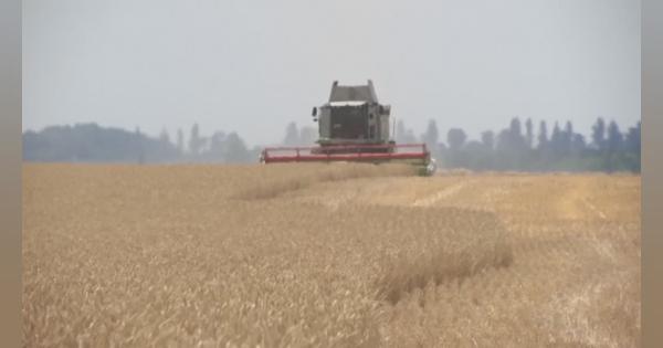 穀物輸出めぐる合意文書の作成「近く終了」　ロシア国防省