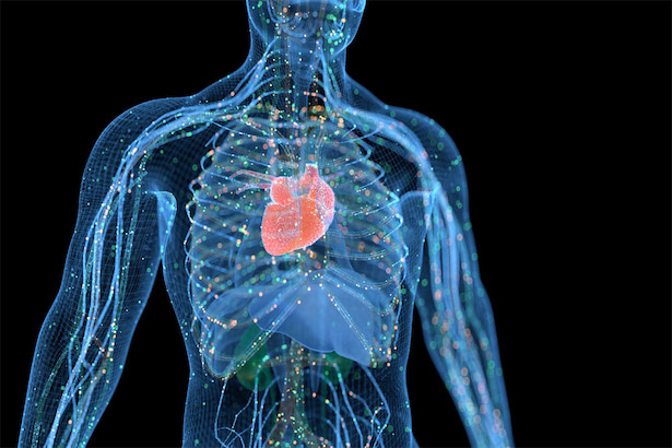 がんサバイバーは心血管疾患を発症しやすいことが研究から判明