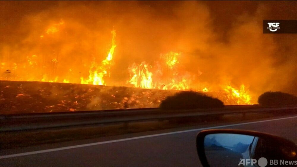 動画：欧州南西部で山火事続く