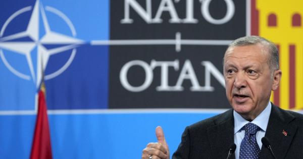 トルコ大統領、北欧2カ国のNATO加盟「凍結」と警告