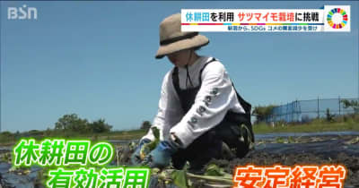 新潟からSDGS　水田をハードル高いサツマイモに転作　ある農家の挑戦