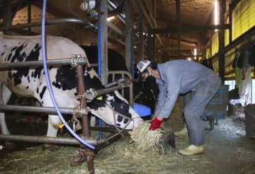 生乳、各地で値上げ交渉　餌代が高騰、酪農経営圧迫