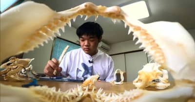 【特集】自宅の冷凍庫はサメでいっぱい　「サメ博士」は宮崎の高校1年生