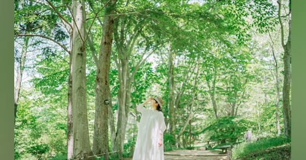 【夏休み2022】猛暑日は六甲高山植物園へ子供アイスプレゼントキャンペーン