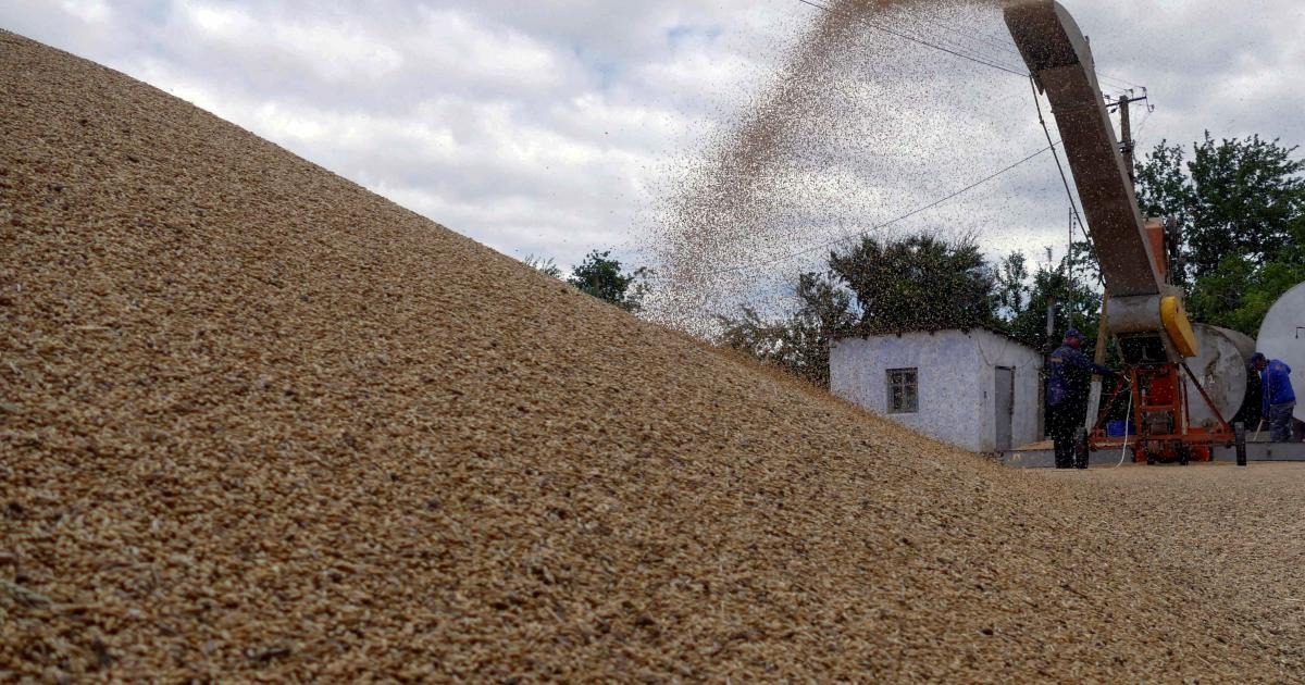 Daily Brief：ついに解禁、ウクライナ穀物輸出
