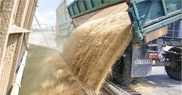ウクライナの穀物輸出、ロシアが合意へ　仲介役のトルコが発表