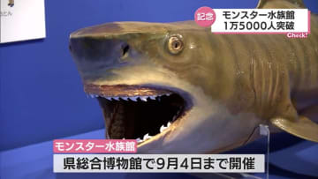 モンスター水族館 来場者1万5千人を突破 宮崎県総合博物館で開催中