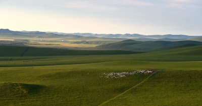 真夏のウラガイ草原　内モンゴル自治区