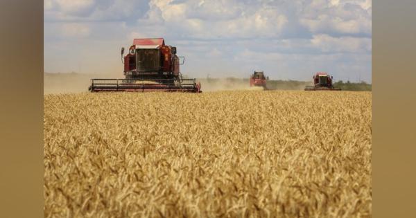 ウクライナ穀物輸出、調整機関がトルコで始動＝ロシア国防省