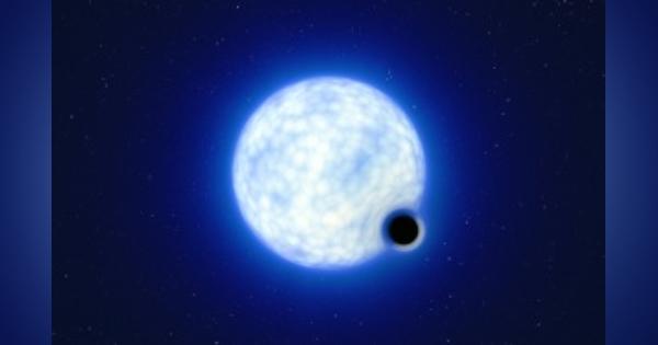 「休眠状態」の恒星質量ブラックホール、銀河系外で初検出　研究