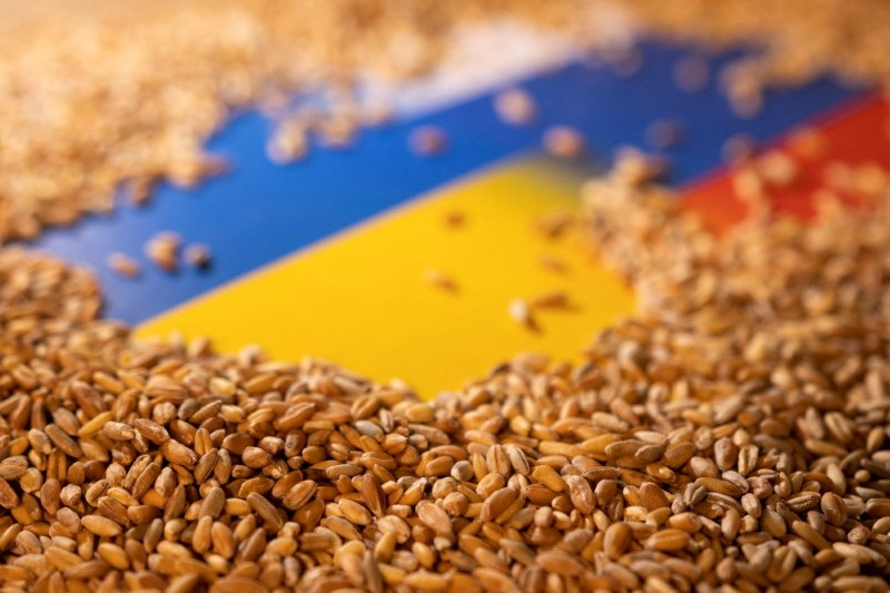 ウクライナ穀物輸出、29日再開を期待　詳細は作業中＝国連調整官