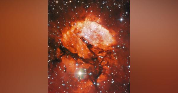 幼い星を育む真紅のゆりかご。“さそり座”の輝線星雲「RCW 120」