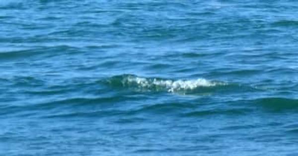 水上オートバイの釣り客転覆、2人けが　いすみ・大原海岸の沖合