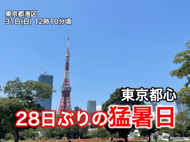 東京都心で35℃に到達　7月3日以来、28日ぶりの猛暑日に