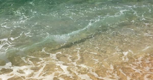 シュノーケリング中に溺れたか　53歳の男性が死亡　沖縄・浦添市