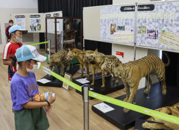 戦中の殺処分、悲劇伝える　天王寺動物園で剥製展示