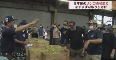 弘前市で2022年産リンゴの初競り