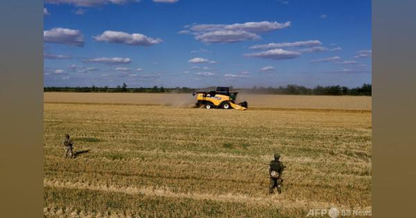 ウクライナ東部の農場、ロシアに穀物販売