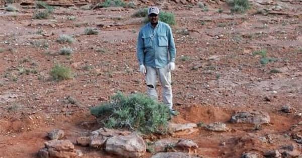 大型恐竜の足跡化石を千個超発見　ゴビ砂漠調査の岡山理科大が報告