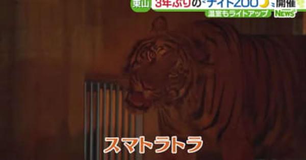 夜の動物園が3年ぶりに復活・名古屋の東山動植物園で5日からスタート