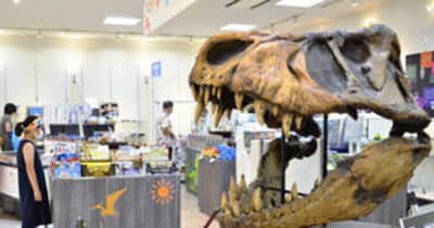 ティラノサウルスがお出迎え！　いわき・エブリア、複製化石展示