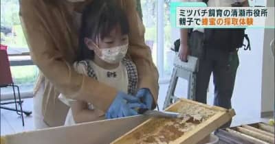 東京・清瀬市役所でミツバチ飼育中！　親子で蜂蜜の採取体験