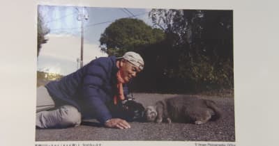 日本各地で撮影　愛らしい猫たちの写真展「日本ねこ歩き」　新潟伊勢丹で始まる