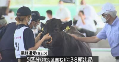 全国和牛能力共進会へ　宮崎県代表牛決定