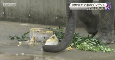 動物たちに氷のプレゼント　京都市動物園
