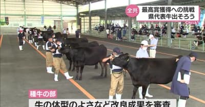 和牛日本一へ　「全国和牛能力共進会」宮崎県代表牛23頭が出揃う