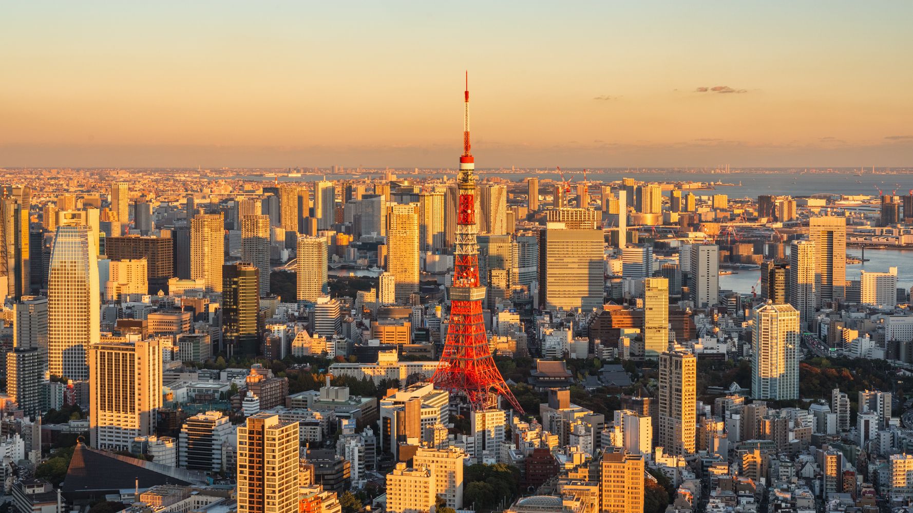 東京で新たに3万4243人の新型コロナ感染確認（2022年8月10日）