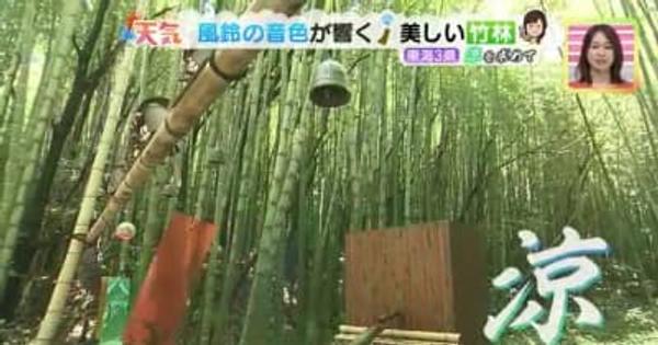 竹林に涼しげな風鈴が鳴り響く　三重県松阪市の「美濃田竹林街道」